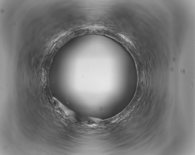 X0000087401398200705111814