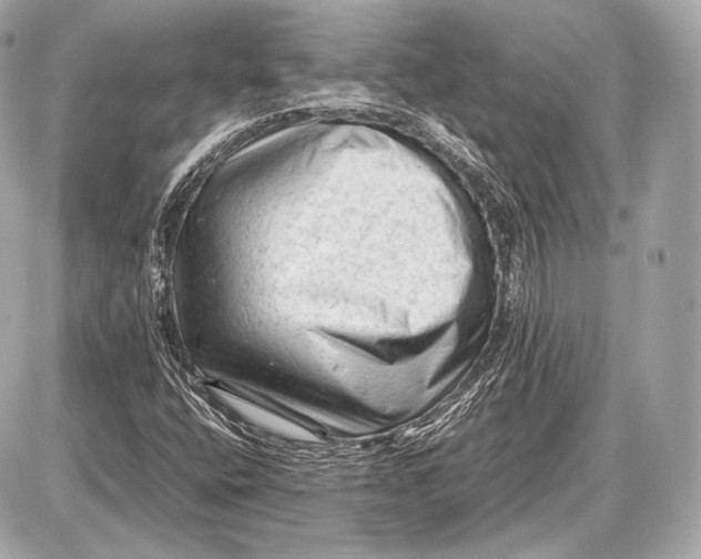 X0000087401400200705111814