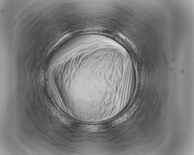 X0000087401401200705111814