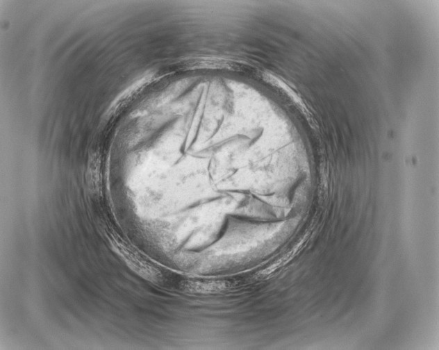 X0000087401403200705111814