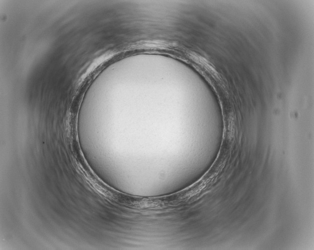 X0000087401404200705111814