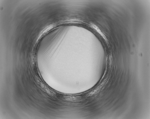 X0000087401405200705111814