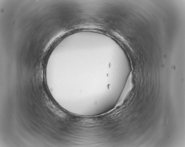 X0000087401408200705111814