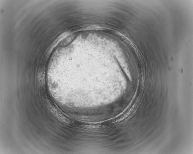 X0000087401409200705111814