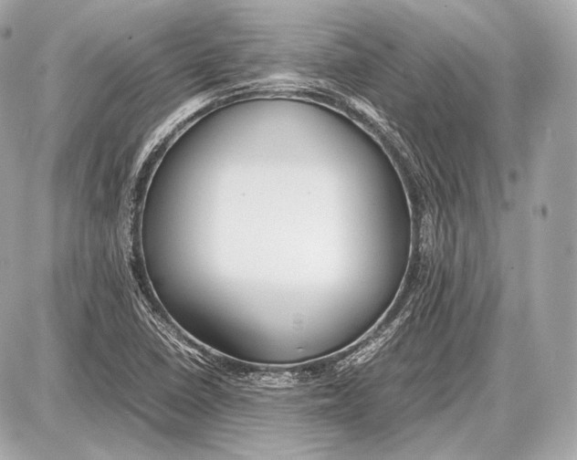 X0000087401410200705111814