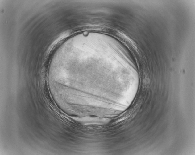 X0000087401411200705111814