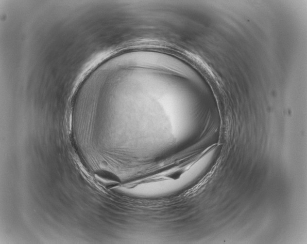 X0000087401413200705111814