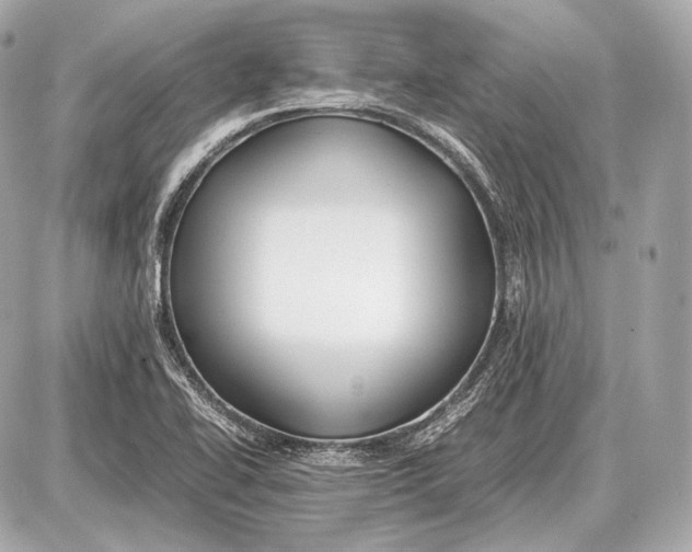 X0000087401414200705111814