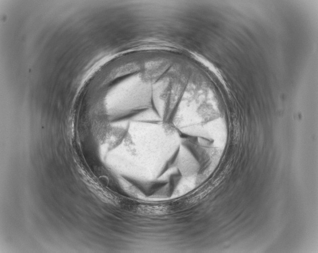 X0000087401415200705111814