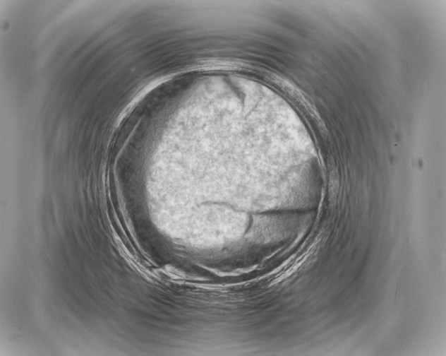 X0000087401417200705111814