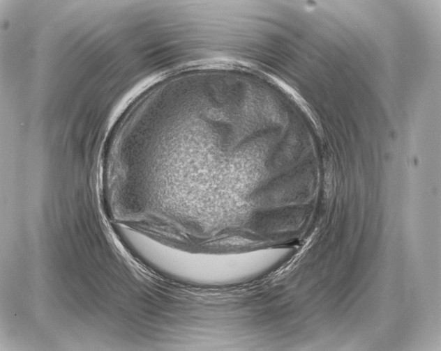 X0000087401418200705111814