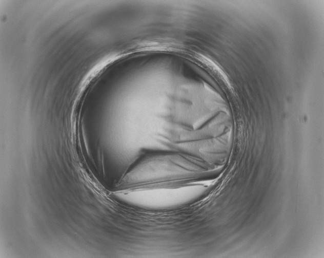 X0000087401419200705111814