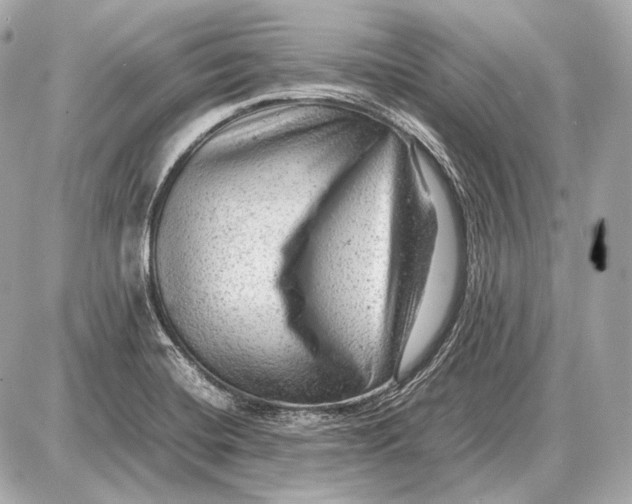 X0000087401420200705111814