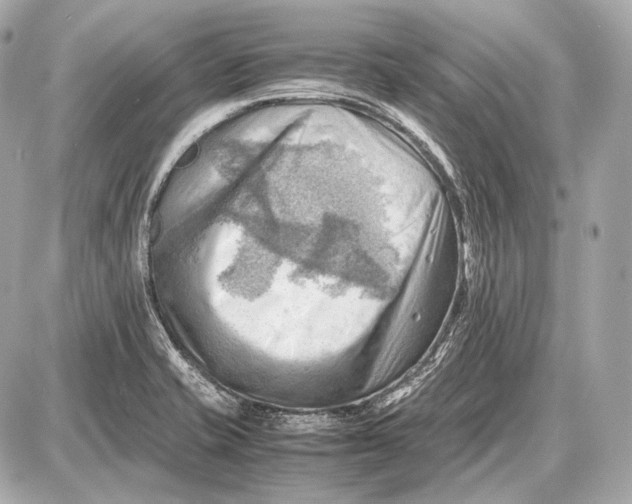 X0000087401421200705111814