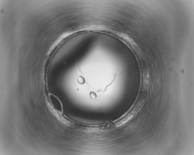 X0000087401422200705111814