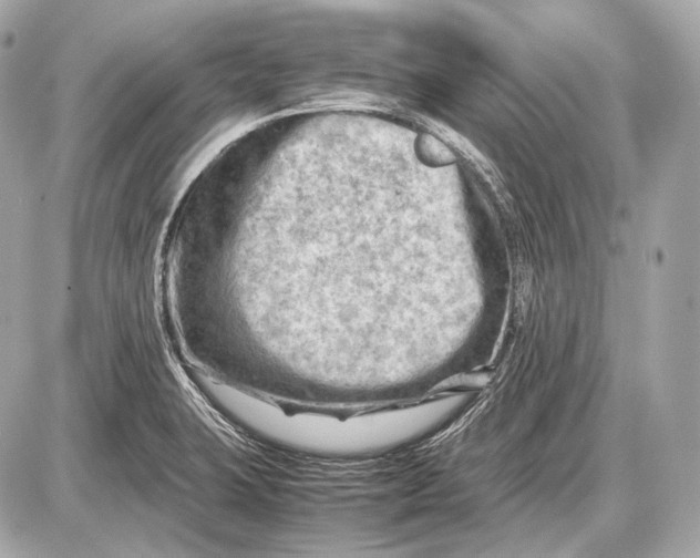 X0000087401423200705111814