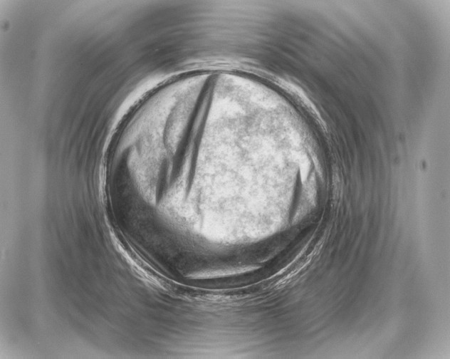 X0000087401424200705111814