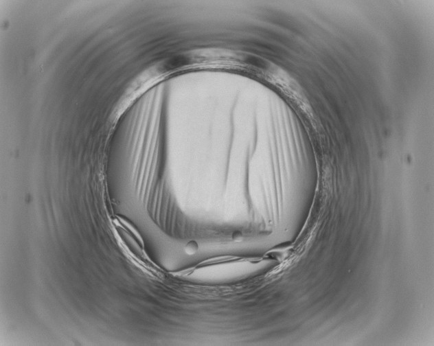 X0000087401425200705111814