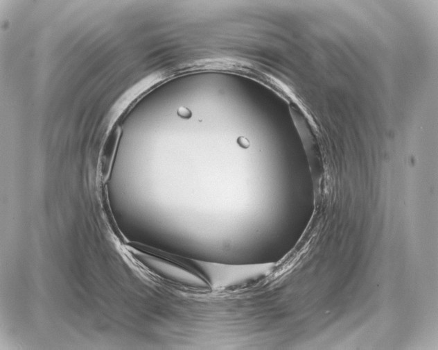 X0000087401426200705111814