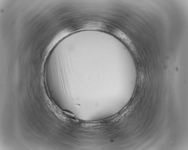 X0000087401427200705111814