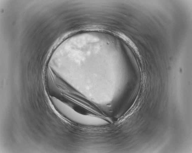 X0000087401429200705111814