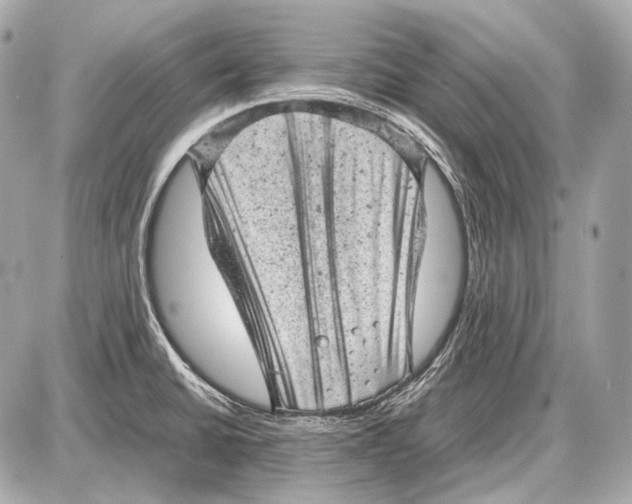 X0000087401430200705111814