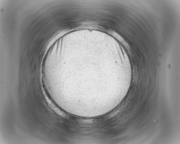 X0000087401431200705111814