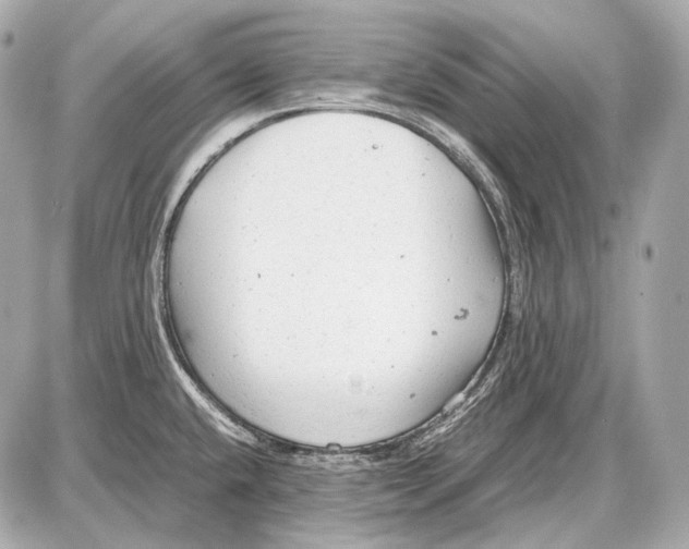 X0000087401432200705111814