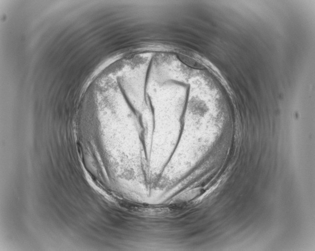 X0000087401433200705111814