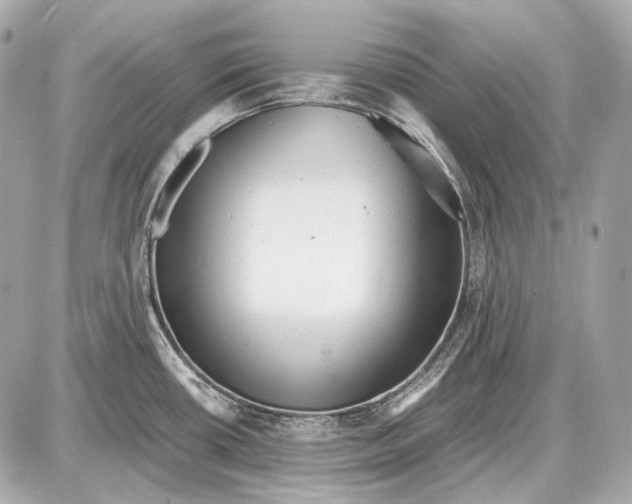 X0000087401434200705111814