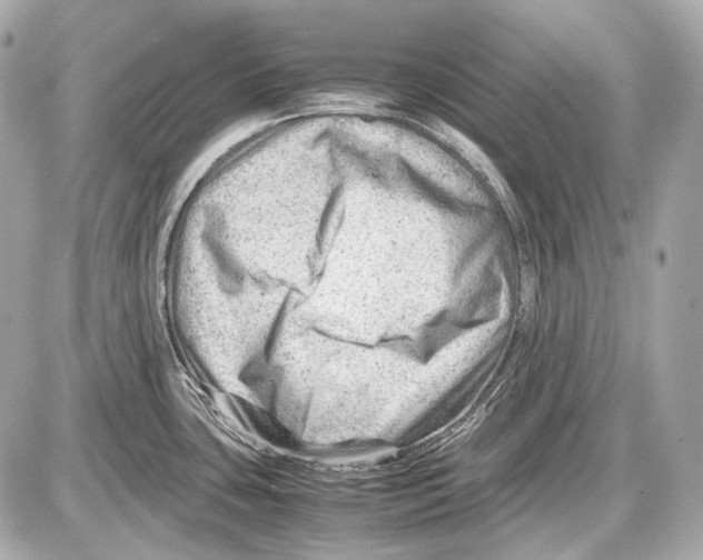 X0000087401435200705111814