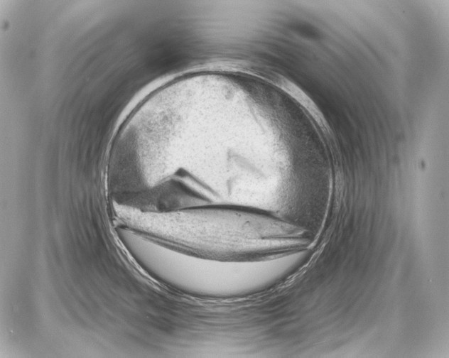 X0000087401436200705111814