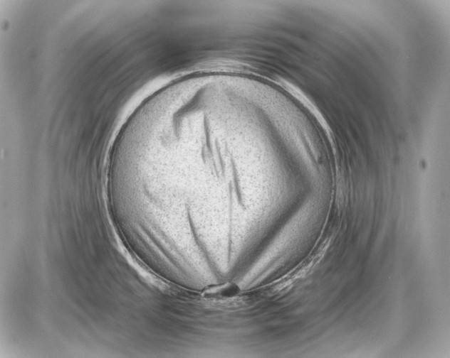 X0000087401437200705111814