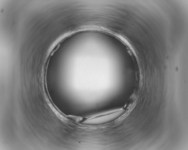 X0000087401438200705111815