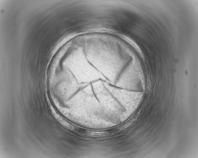 X0000087401439200705111815