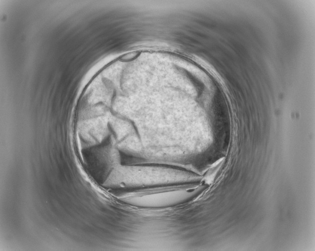 X0000087401440200705111815