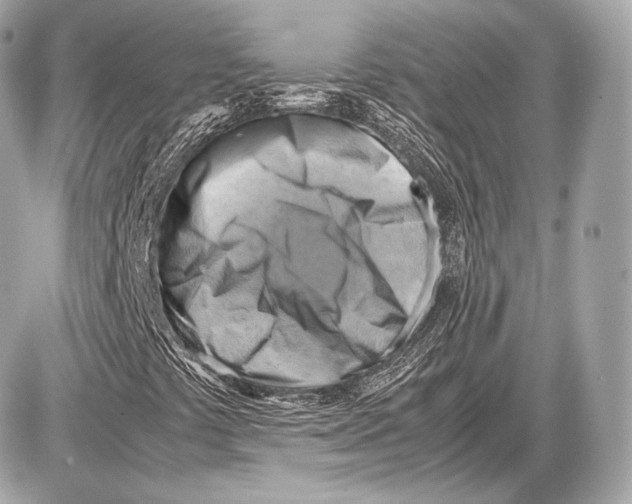 X0000087401441200705111814