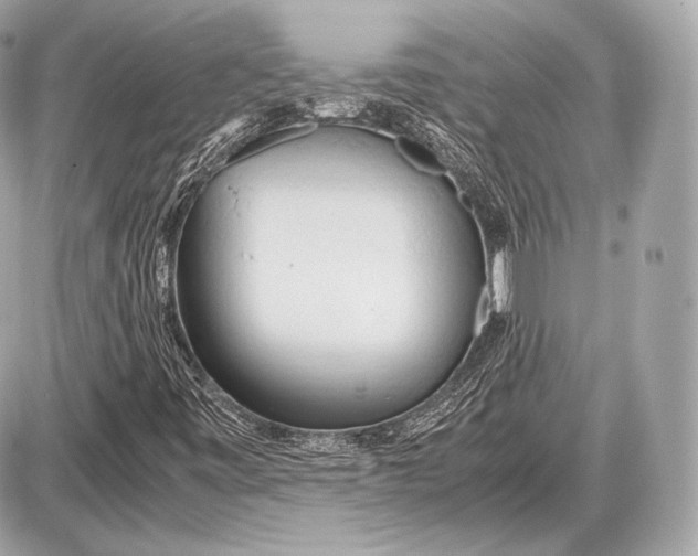 X0000087401443200705111814