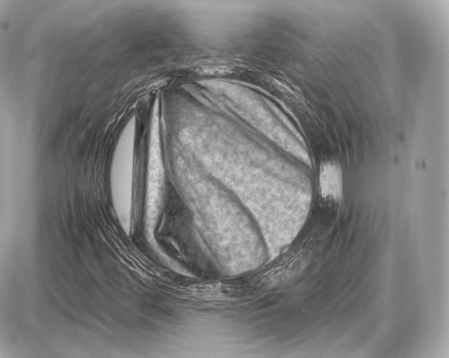 X0000087401444200705111814