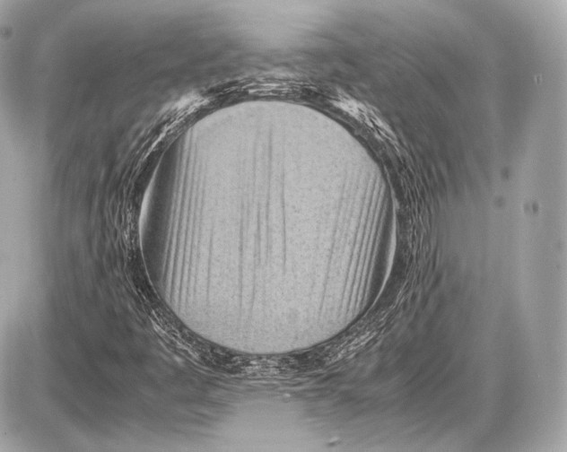 X0000087401445200705111814