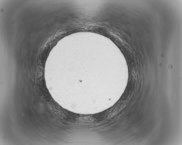 X0000087401447200705111814