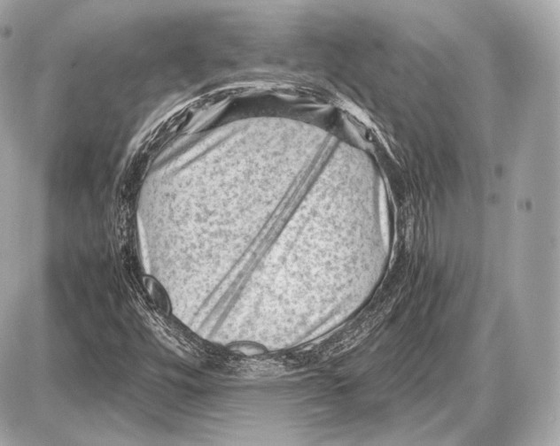 X0000087401448200705111814