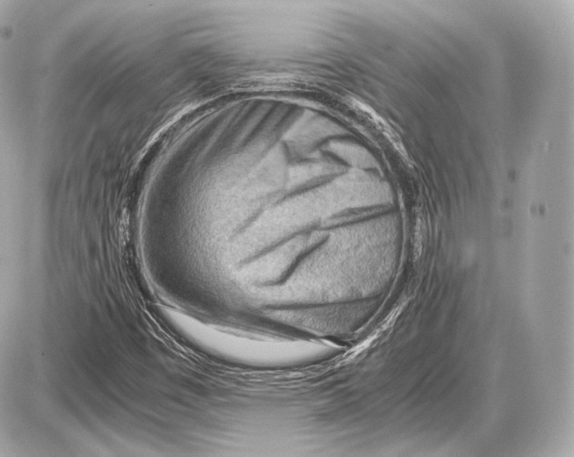 X0000087401449200705111814