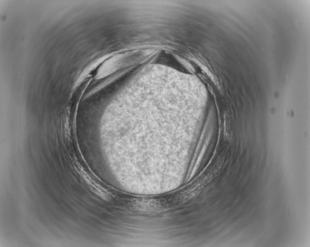 X0000087401452200705111814