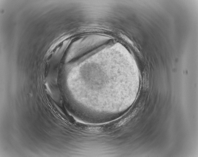 X0000087401453200705111814