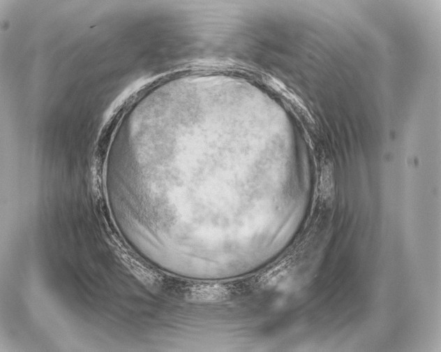 X0000087401454200705111814