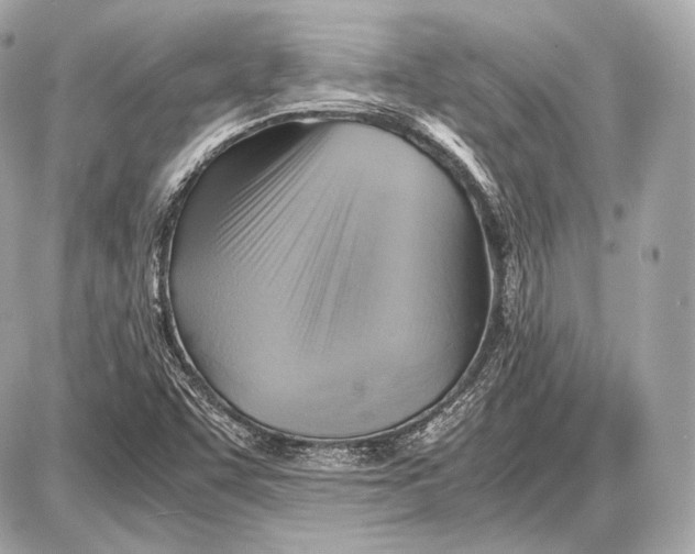 X0000087401455200705111814