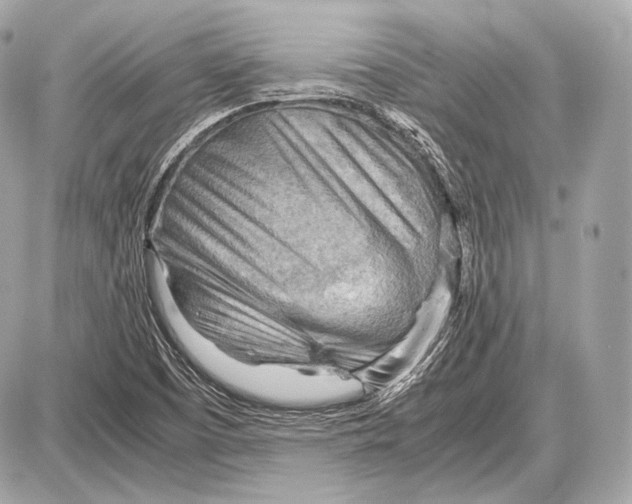 X0000087401457200705111813