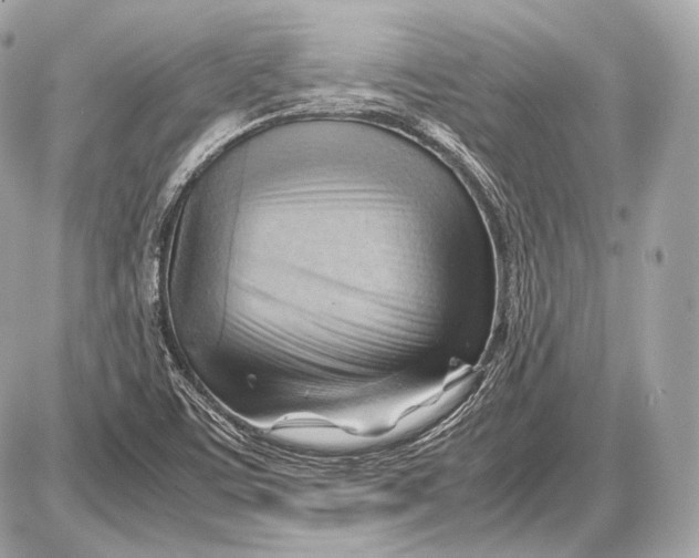 X0000087401459200705111813