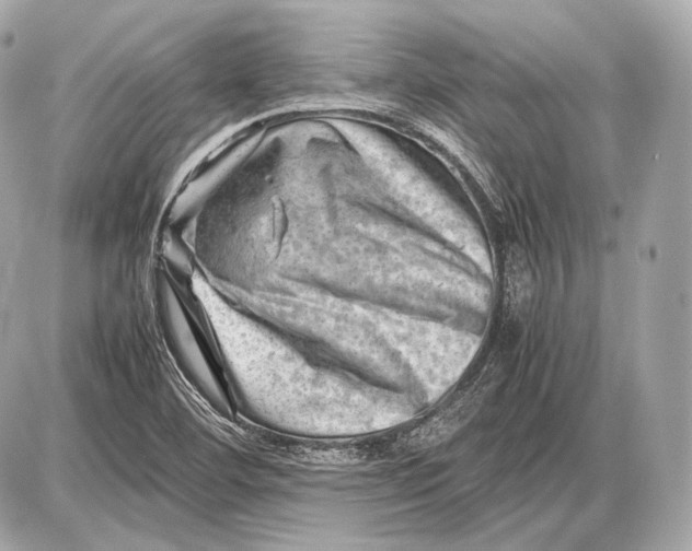 X0000087401460200705111813